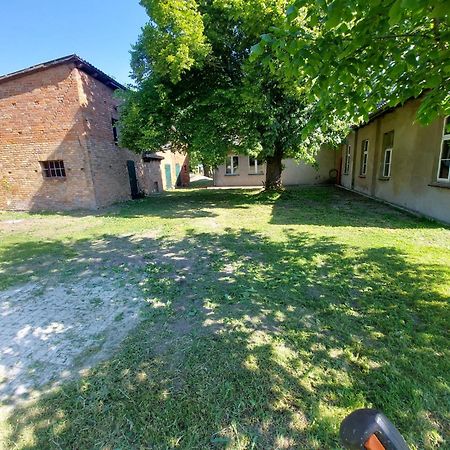 Ferienhaus Sommer Linden Deyelsdorf エクステリア 写真